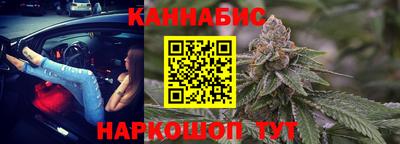 apvp Кингисепп