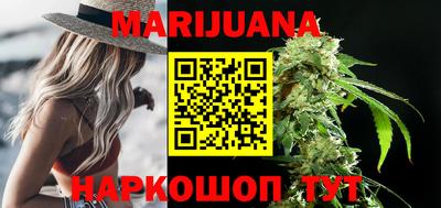 apvp Кингисепп