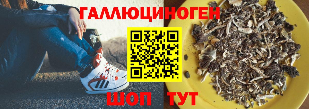 Галлюциногенные грибы ЛСД Кудрово